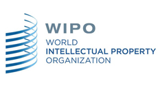 ASIA Now Leading：WIPO最新榜单，华为蝉联PCT专利申请榜首，中兴大幅下滑！中国两年内将超过美国！